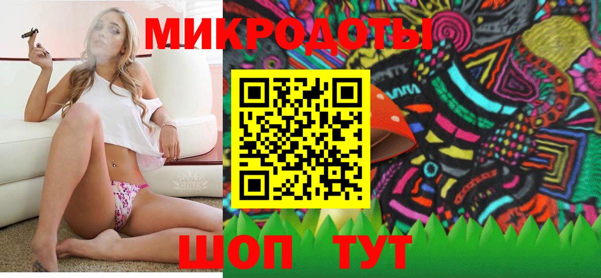 Галлюциногенные грибы Psilocybe Алексин
